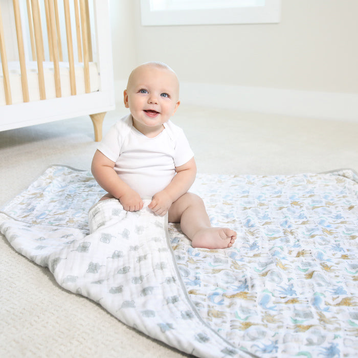 Blankets - aden + anais essentials