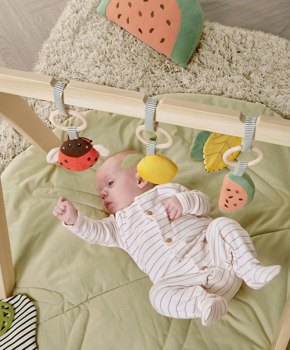 Babyplay Leaf Playmat & Gym (2 Piece Bundle)