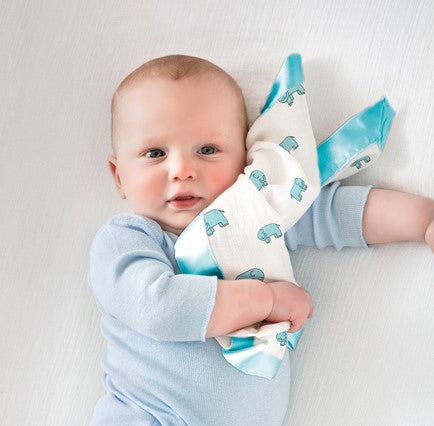aden or aden+anais security blankets
