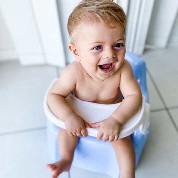 Toilet Training System Toilet Training Seat With Ladder babystudio