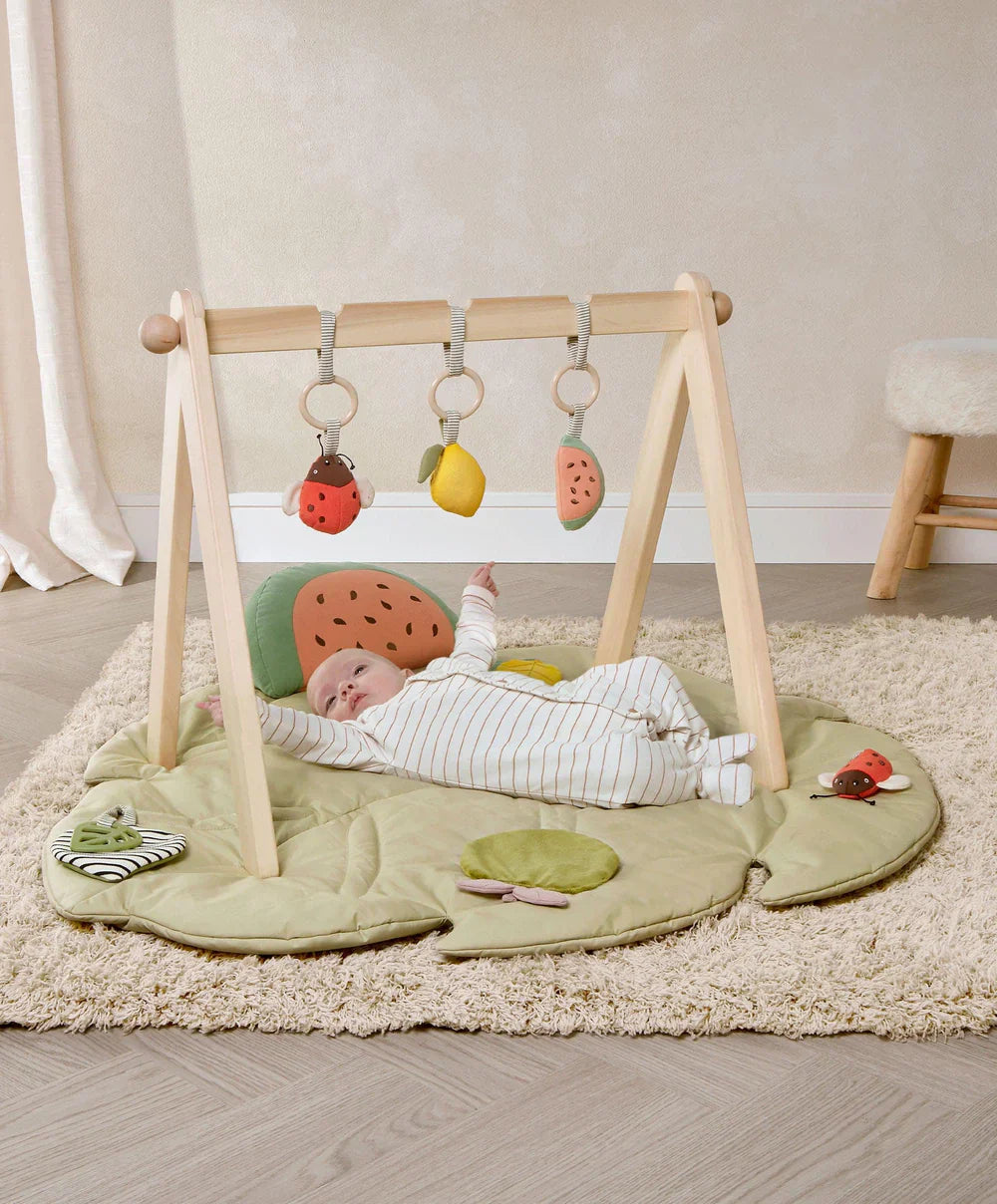 Babyplay Leaf Playmat & Gym (2 Piece Bundle)
