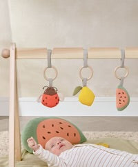 Babyplay Leaf Playmat & Gym (2 Piece Bundle)